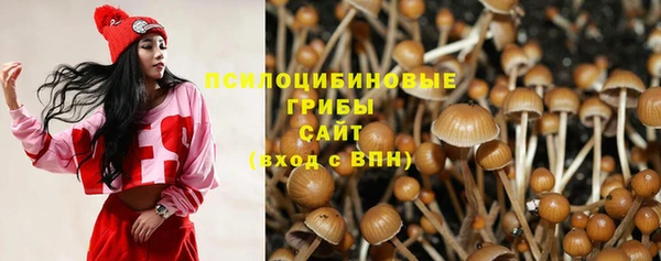 mix Вяземский